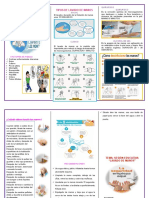 Triptico de Lavado de Manos
