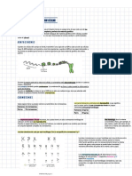 Reproducción Celular PDF