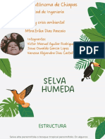 SELVA HUMEDA (1) - Compressed PDF