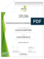 Diploma 1 PDF