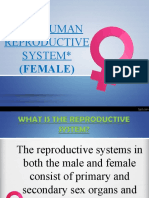 Female Reproductive System