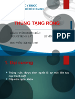 THUNG TANG RONG - Quan