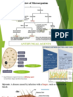 Antifungal Agents