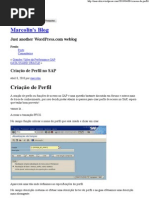 Criação de Perfil no SAP « Marcolin's Blog