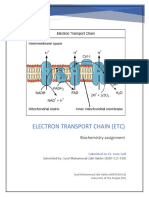 Electron Transport Chain BSBT025F18 PDF