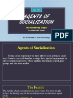 Agents of Socialization PDF