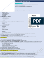 Traumatisme Abdominale PDF