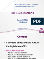 Pilot-Risk Assessment at Workplace