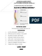 Monografía Desarrollo PDF