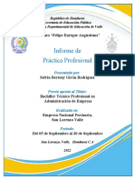 Informe de Practica Profesional de Contaduria y Fiananzas