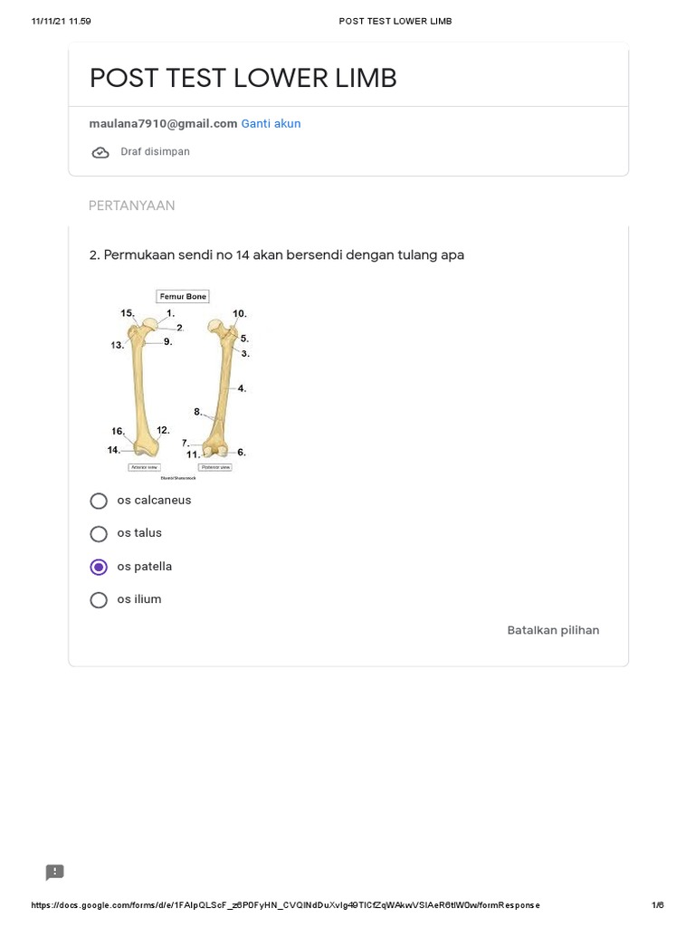 Ujian Post Test Anatomi Anggota Bawah | PDF