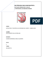 Tarea de Embriología-Práctica 4 PDF