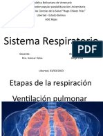 Sistema Respiratorio