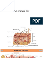 Az Emberi Bőr2