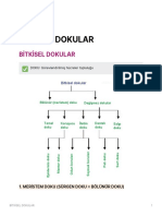 Sinif Biyoloji - Bitkisel Dokular PDF