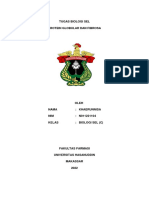 Protein Globulen Dan Fibrosa PDF