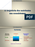 fluxo.pdf