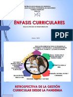 ENFASIS CURRICULARES (1).pdf