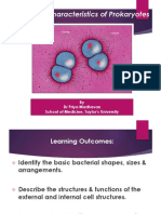 Characteristics of Prokaryotes PDF