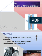 3 - Anatomía - Generalidades Planimetria, Ejes y Terminos de Posicion