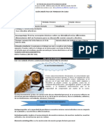 Ética y Valores - 8°-P1. PDF