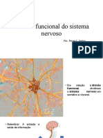 Aula 3 - Divisão Funcional Do Sistema Nervoso