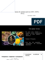 Aula 1 - Divisões Anatômicas Do Sistema Nervoso (SNC, SNP e SNA)