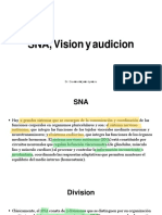 SNA, vision y audicion (1).pdf