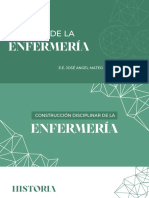 Historia de Enfermería PDF