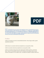 Coelhos PDF