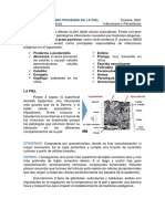 Clase 01. Infecciones Piogenas de La Piel PDF