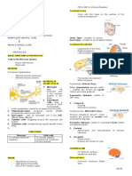 Neurologic System