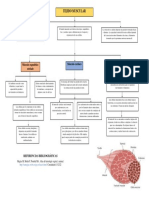 Tejido Muscular (Sixto Javier Reto Zapata) PDF