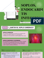 Articulo Soplo Cardiaco