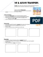 Lab Tranport PDF