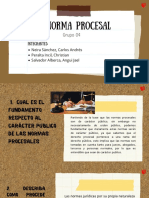 La Norma Procesal G-04 PDF