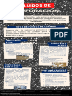 Info Fluidos de Perforacion - Jorge Durand PDF