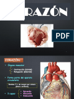 Corazon Generalidades PDF