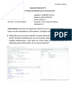 Guia de Practica CLEMENTE PDF