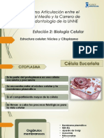 Estructura Celular - Núcleo y Citoplasma PDF