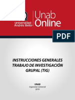 ICAD_TIG_Instrucciones.pdf