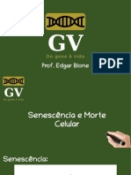 Slides 1 - Senescência e Morte Celular PDF