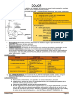 2 Dolor PDF