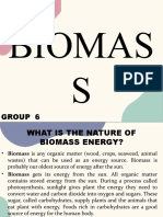 BIOMAS GROUP 6: Understanding Biomass Energy Sources