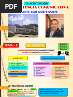 Tema 5 - El Acento PDF