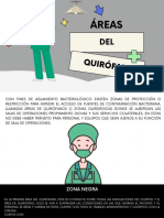 Areas Del Quirofano - Organized PDF
