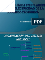 Bioelectricidad de La Columna Vertebral PDF