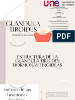 Tarea 14.3 Presentación Glándula Tiroides PDF