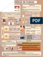 Enfermedad de Chagas PDF