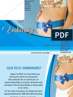 Embarazo PDF